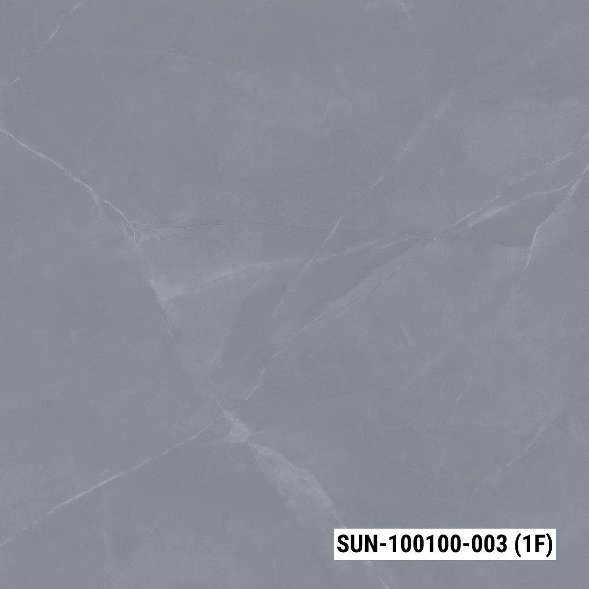 SUN-100100-003